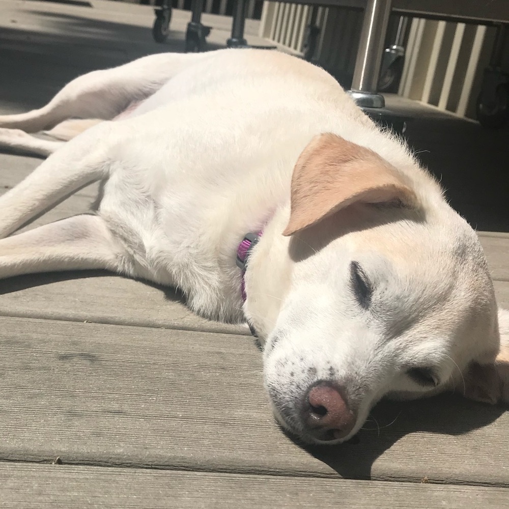 Meet your Posher, Aaudrey